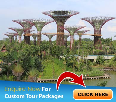 Hong Kong Tour Packages